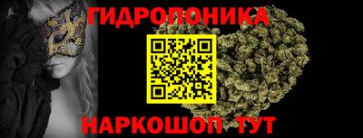 крисы Краснознаменск