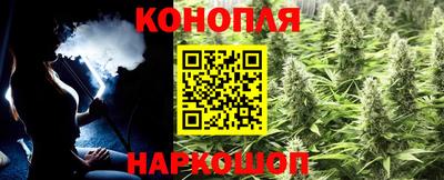 крисы Краснознаменск