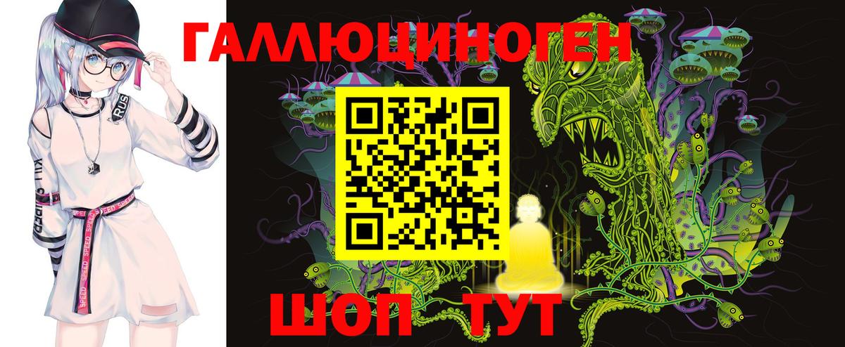 Псилоцибиновые грибы Psilocybe Корсаков