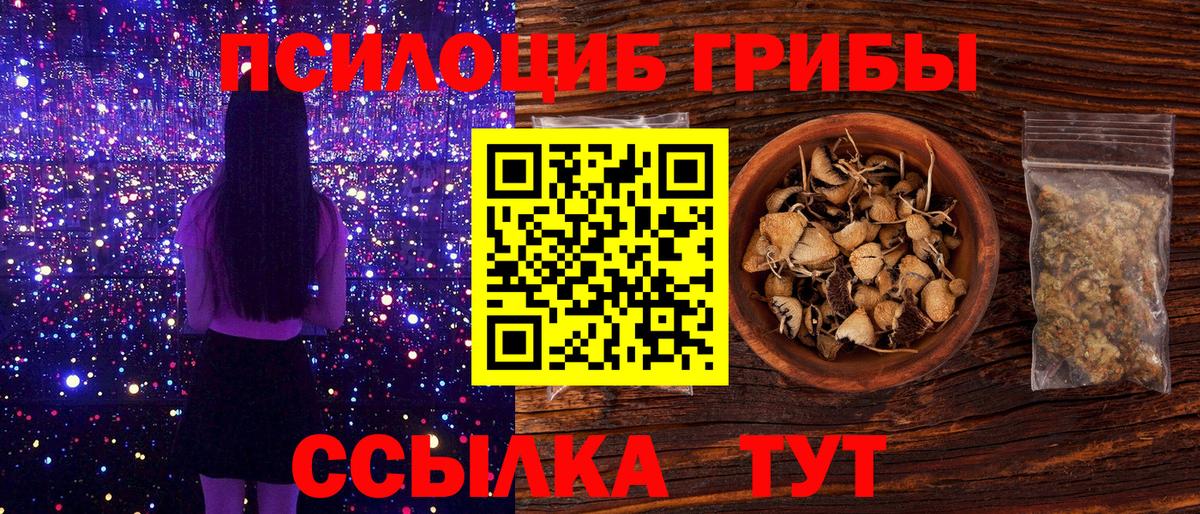 Корсаков  Псилоцибиновые грибы Cubensis  Галлюциногенные грибы Psilocybe  Вход с VPN 
